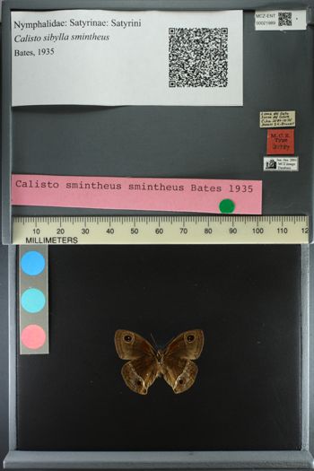 Media type: image;   Entomology 21989